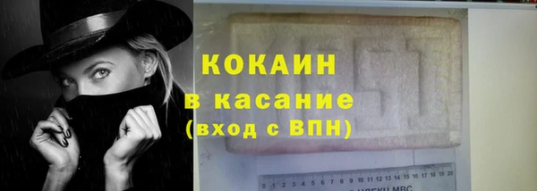 сатива Дубна