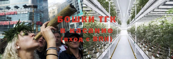 сатива Наволоки