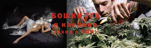 сатива Наволоки