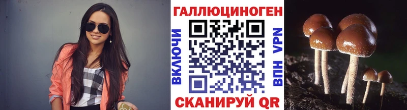 Купить где  Заринск  Псилоцибиновые грибы Psilocybine cubensis 